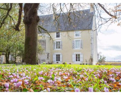 Chateau Ardilleux