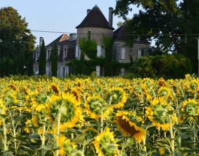 Chateau Des Etoiles with Cook