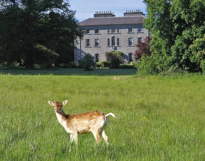Coopershill House